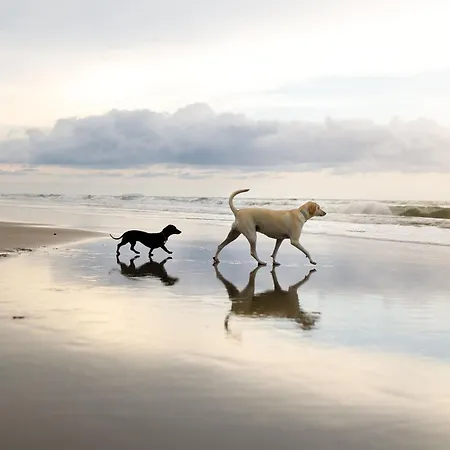 Pebble - Part Of The The Bay Village With Pool, Gym And Direct Access, Pub, Restaurant, Tennis And Meadows Walks Filey