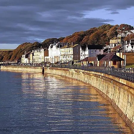 Pebble * Filey