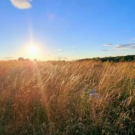 Pebble - Part Of The The Bay Village With Pool, Gym And Direct Access, Pub, Restaurant, Tennis And Meadows Walks Filey
